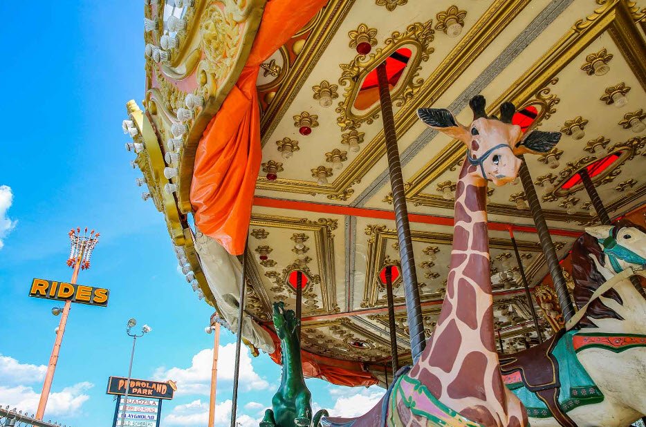 Pedroland Park, United States